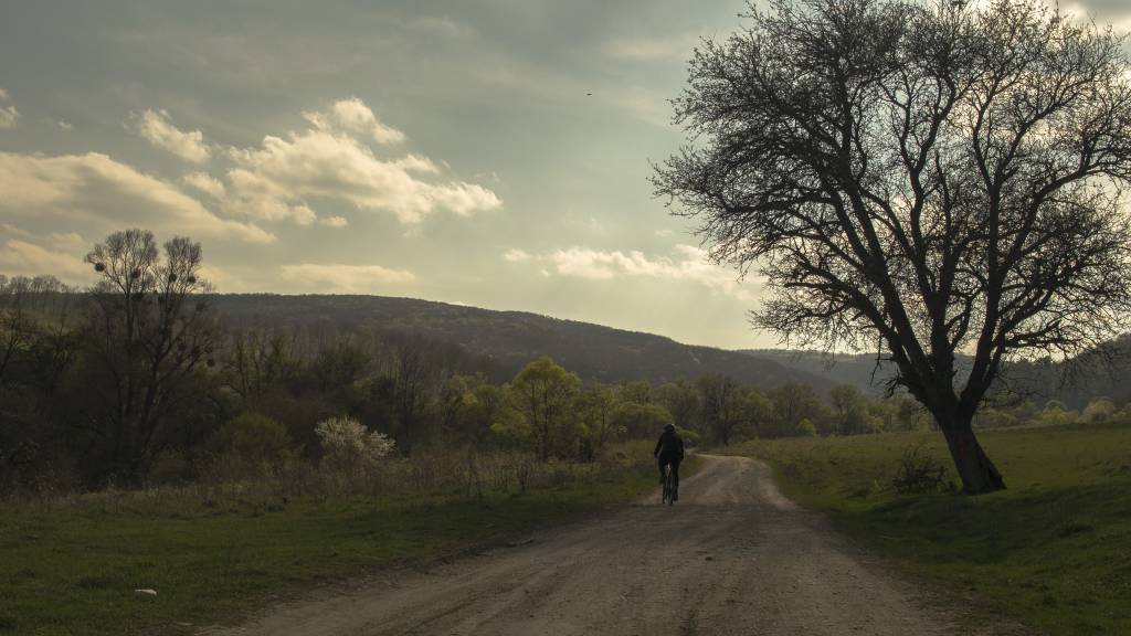 transylvaniabike trails